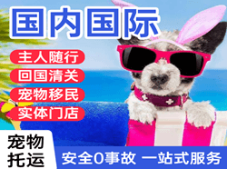大水泊机场物流国际宠物托运 【国